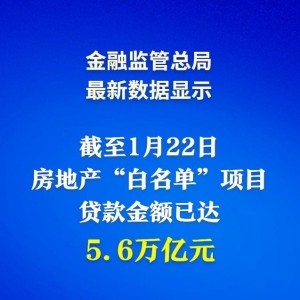 房地产“白名单”项目贷款金额已达5.6万亿元