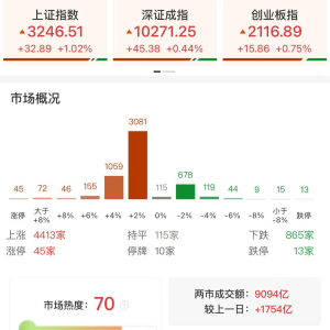 A股午评：大力推动中长期资金入市，三大指数集体上涨，沪指涨1.02%创指涨0.75%，大金 ...