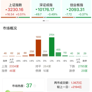 A股三大指数冲高回落，沪指涨0.51%创指跌0.37%，深证成指跌0.49%，银行保险逆势上涨！ ...