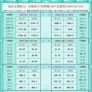 一张图看商品支撑阻力：金银油气+铂钯铜农产品期货(2025/01/24) ...
