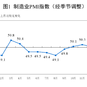 国家统计局：1月官方制造业PMI为49.1% 比上月下降1.0个百分点