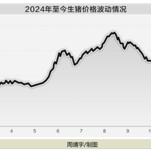 年关将至 猪价不升反降！节后怎么走？