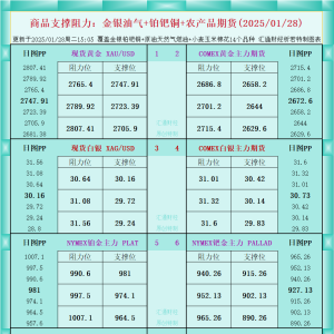 一张图看商品支撑阻力：金银油气+铂钯铜农产品期货(2025/01/28) ...