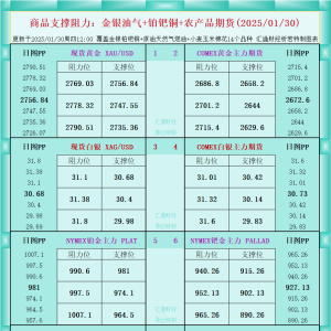 一张图看商品支撑阻力：金银油气+铂钯铜农产品期货(2025/01/30) ...
