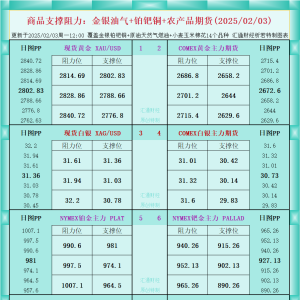 一张图看商品支撑阻力：金银油气+铂钯铜农产品期货(2025/02/03) ...