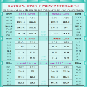 一张图看商品支撑阻力：金银油气+铂钯铜农产品期货(2025/02/04) ...