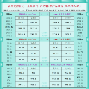 一张图看商品支撑阻力：金银油气+铂钯铜农产品期货(2025/02/05) ...