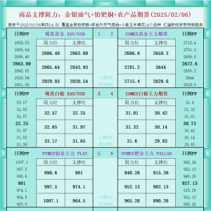 一张图看商品支撑阻力：金银油气+铂钯铜农产品期货(2025/02/06) ...