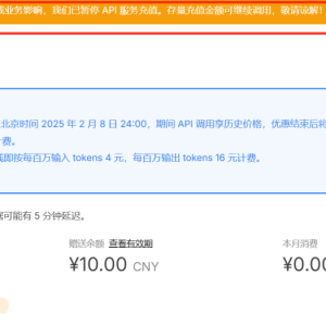 突发！DeepSeek暂停API服务充值！美日韩印等国禁止、限制使用DeepSeek？中方回应 ...