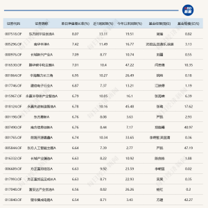 蛇年第二个交易日，又有几十只基金涨超6%