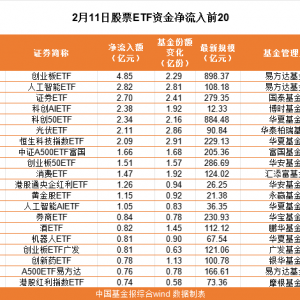 2月11日股票ETF资金净流出超110亿元