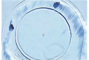 时报新“视”力 冰雪经济焕发新动能 “极寒之地”燃起新势力 ...