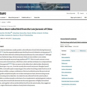 福建发现目前世界上最古老的鸟类化石之一“政和八闽鸟”