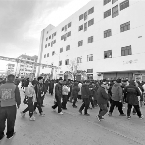 人口大省开年火热招工 “链主”拉动产业催生用工需求