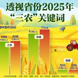 2025年各省份“三农”工作怎么干？多地上调粮食播种面积目标 ...