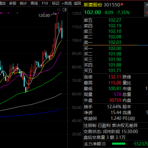 关键信息曝光，DeepSeek概念透露！谁是算力之王？