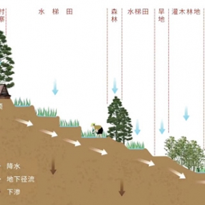 山顶没水库，哈尼梯田为何不缺水？（世界遗产中的生态观照） ...