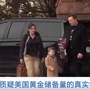 马斯克 最新查账目标曝光！这次是黄金！