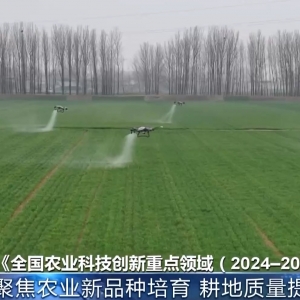 建设农业强国如何走好1年、3年、5年、10年这几步