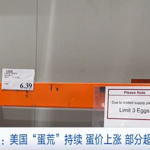 价格飙涨！“母鸡租赁”突然火了！美国发生了什么？
