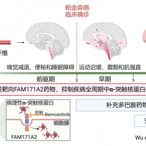 全球首次！复旦大学科研团队发现帕金森病全新治疗靶点