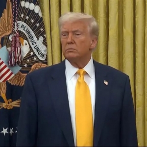 乌克兰突然被曝！“特朗普被骗了”？稀土矿产资源都位于交战区？ ...