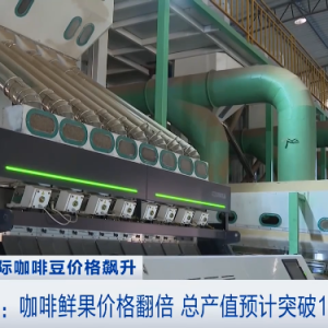 飙涨118.57%！一天一个价！大机遇来了！