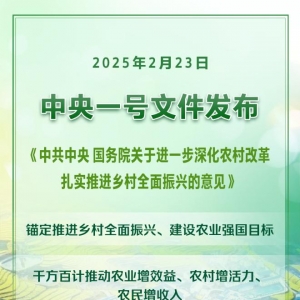 首提发展农业新质生产力，中央一号文件这样点题