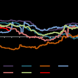 玉米：高位盘整 趋势仍存