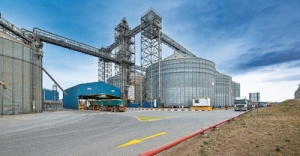 创新合作助力共赢发展（央企走出去·乘“新”出海）