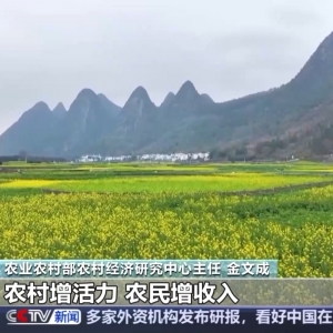 中央一号文件发布 有何新亮点？