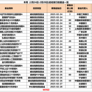 本周25只新基金开售，年内首发规模最大的新基金诞生