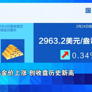 金价，涨了！国际金价创收盘历史新高