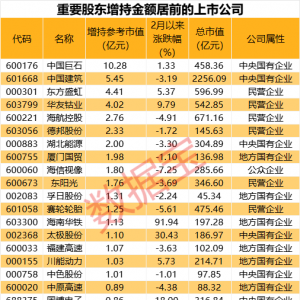重要股东增持股名单出炉！