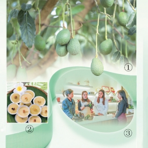 在云南，品尝世界的鲜（跟着味蕾去旅行）