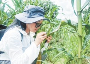 看，乡村文化生活“实力圈粉”（国际人士看中国乡村全面振兴） ...