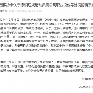 中国围棋协会通报一职业棋手比赛时用AI作弊，撤销段位、禁赛8年 ...