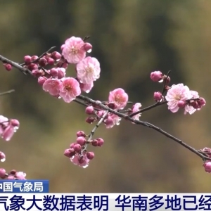 我国最早和最晚入春的城市是哪？你那里入春了吗？