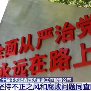 二十届中央纪委四次全会工作报告公布 坚持不正之风和腐败问题同查同治 ...