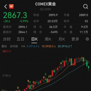 创历史新高后回落，未来金价还会大涨吗？