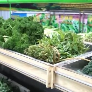 春菜鲜美丰富百姓“菜篮子” “一口鲜”餐饮热潮激发消费活力 ...