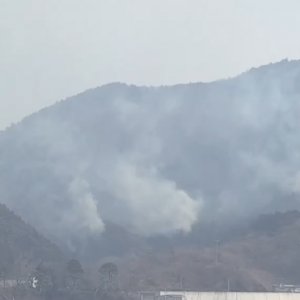 日本大船渡市山火蔓延 四千余人被要求疏散