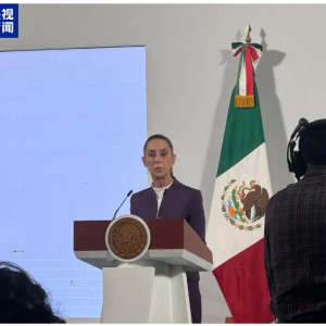 墨西哥将于9日宣布针对美加征关税的反制措施