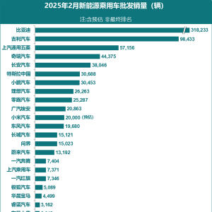 2025年2月新能源汽车厂商销量榜：小米汽车要杀入TOP10了