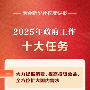 2025年政府工作十大任务