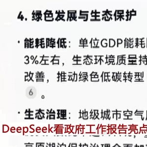 今年政府工作报告有哪些亮点？DeepSeek的回答来了