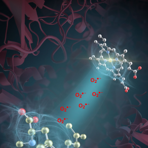 突破性进展！我国科学家发现活性氧超氧阴离子是药物分子合成催化剂 ...