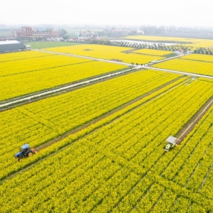 沃野逐春光——各地有序推进春耕备耕扫描