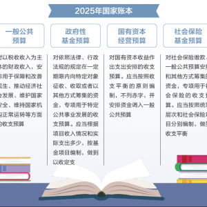 两会数说中国丨打开2025年“国家账本”，“数”里行间看国计民生 ...