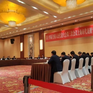 全国人大上海代表团全体会议热议“民营经济”“营商环境”，上海有何部署？ ...